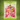 Nawabi Paan Candy Pouch