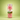 Nawabi Paan Candy Can